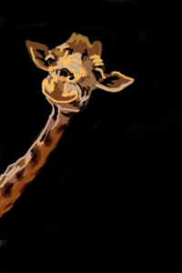 Curious_Giraffe